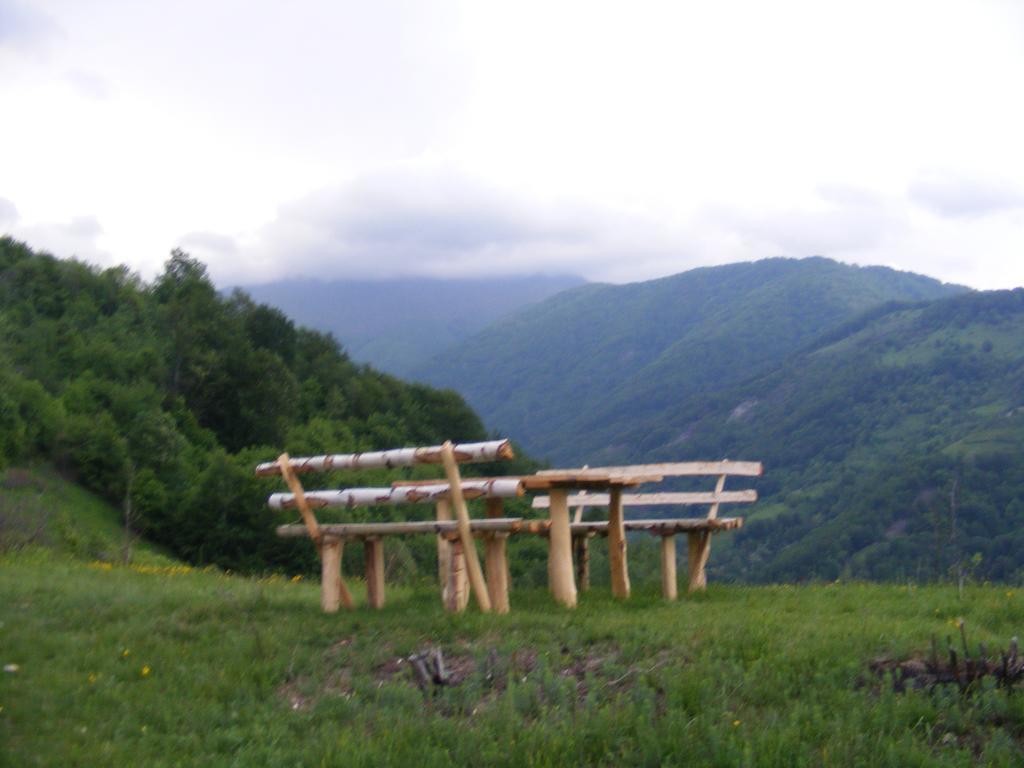 Hotel Domogled Băile Herculane Eksteriør billede